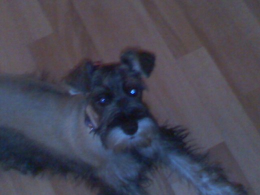 mi muñeka posando para la camara
